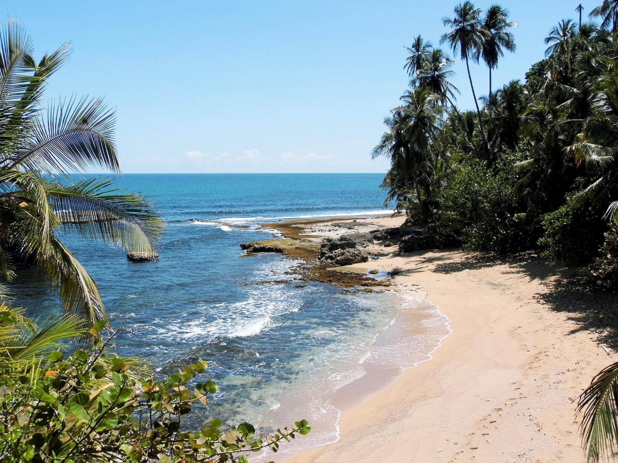 El Colibri Lodge Manzanillo  Bagian luar foto