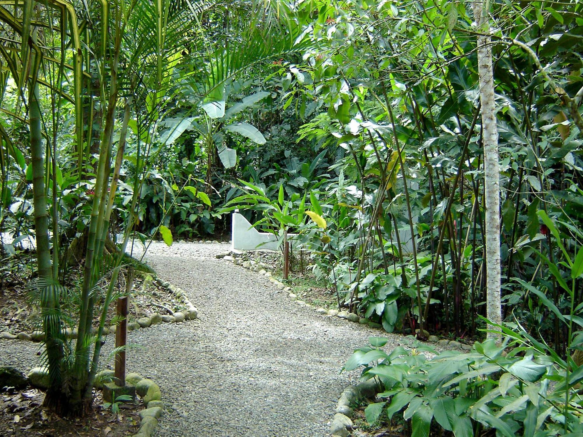 El Colibri Lodge Manzanillo  Bagian luar foto