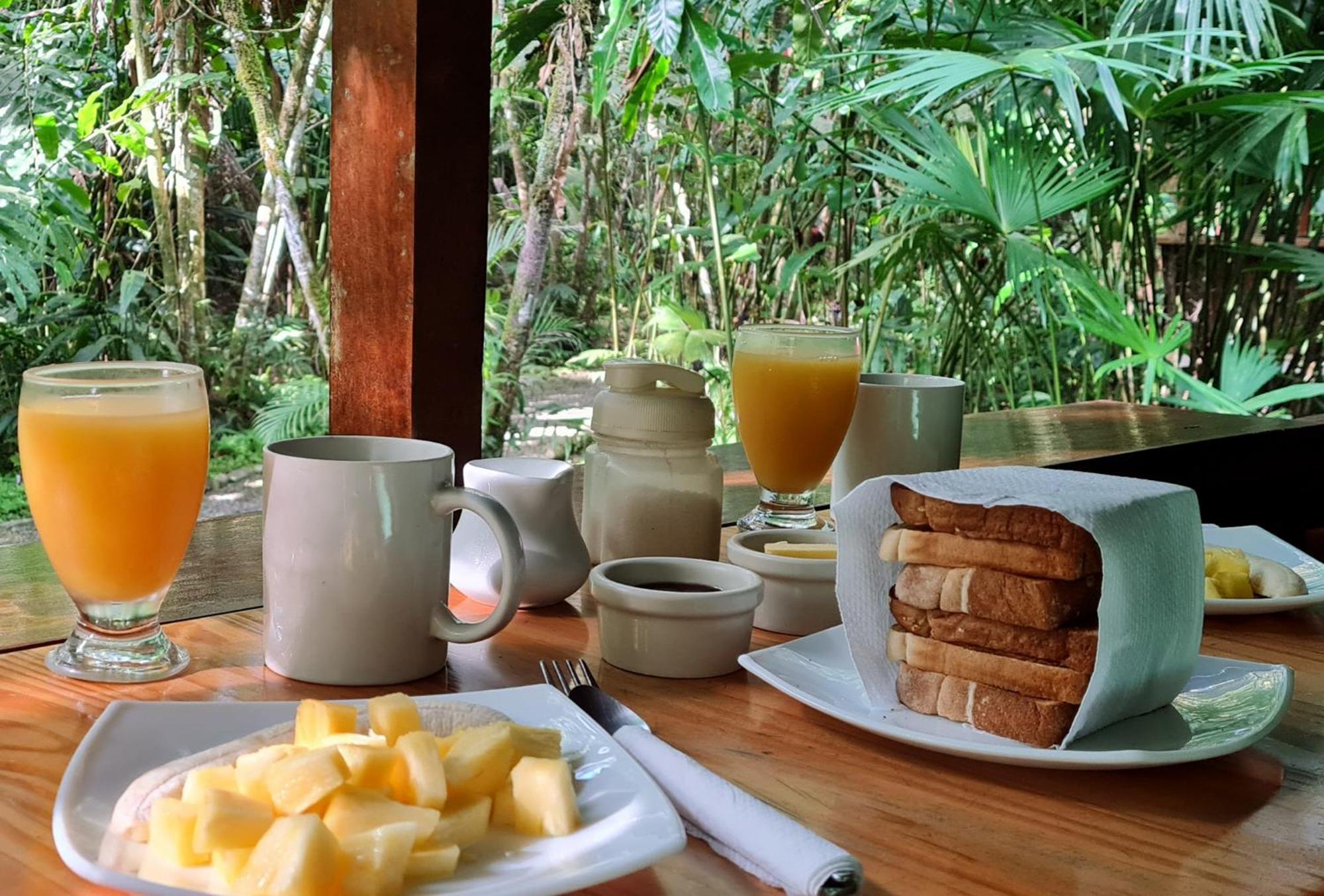 El Colibri Lodge Manzanillo  Bagian luar foto