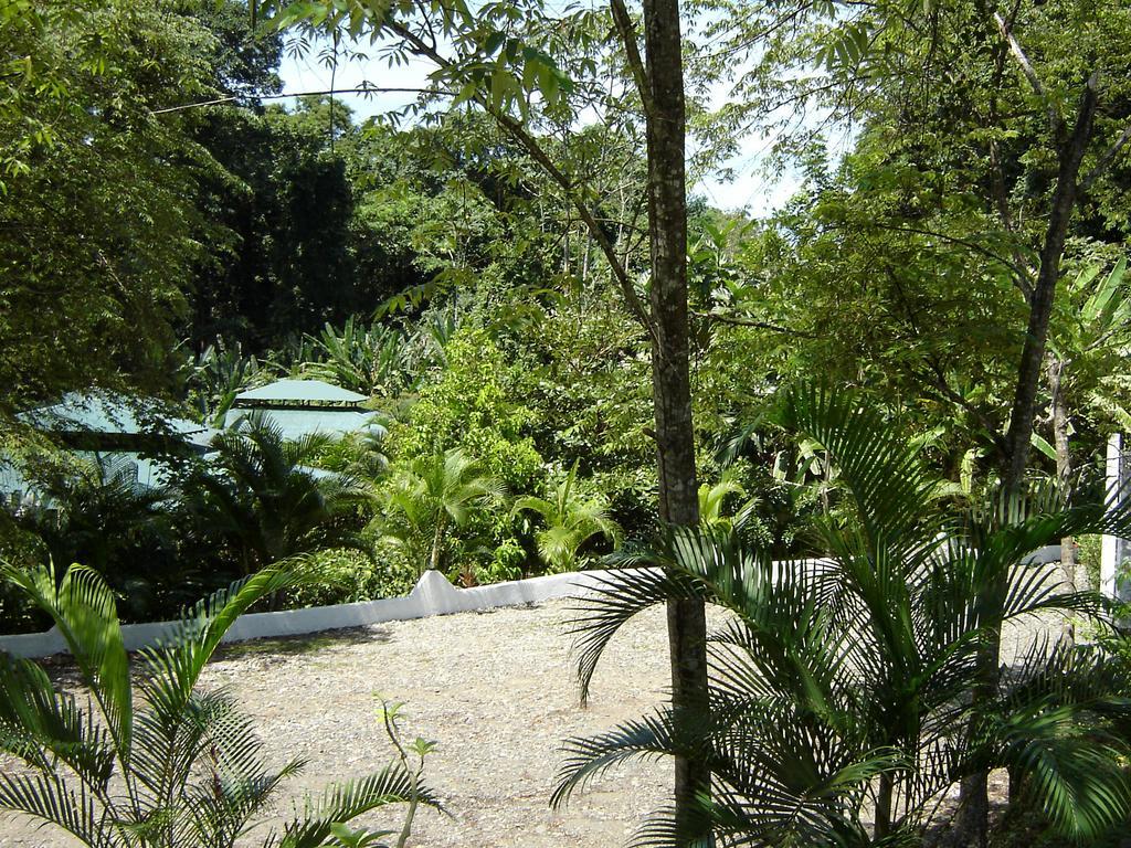 El Colibri Lodge Manzanillo  Bagian luar foto