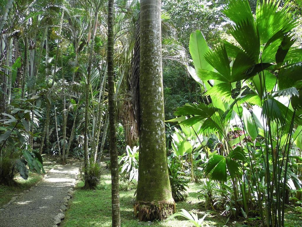 El Colibri Lodge Manzanillo  Bagian luar foto